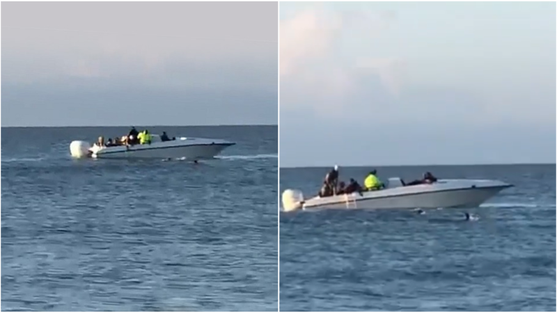 Cubanos logran salir de la isla en una lancha rápida por Pinar del Río (video)