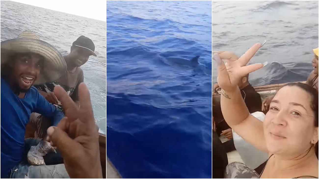 Balseros cubanos registran su feliz travesía hacia EEUU y son acompañados por delfines (video)