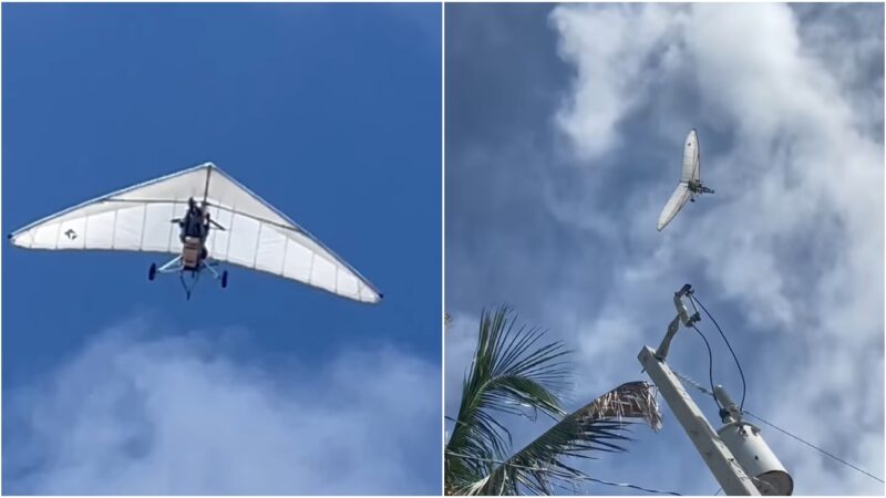 Identifican a cubanos que huyeron a EEUU en un ala delta; salen a la luz videos de su llegada