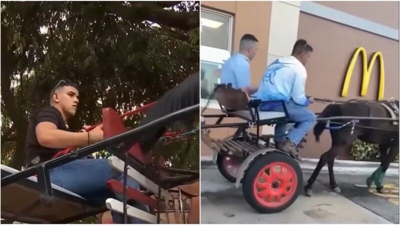 Hialeah: Joven de ascendencia cubana que fue a un McDonalds en carretón de caballo nació en EEUU