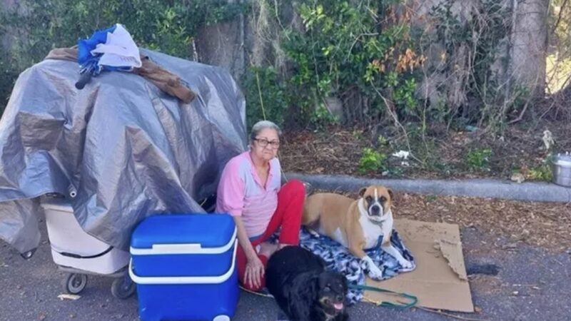 Piden ayuda para anciana cubana que vive en las calles de Tampa, en Florida