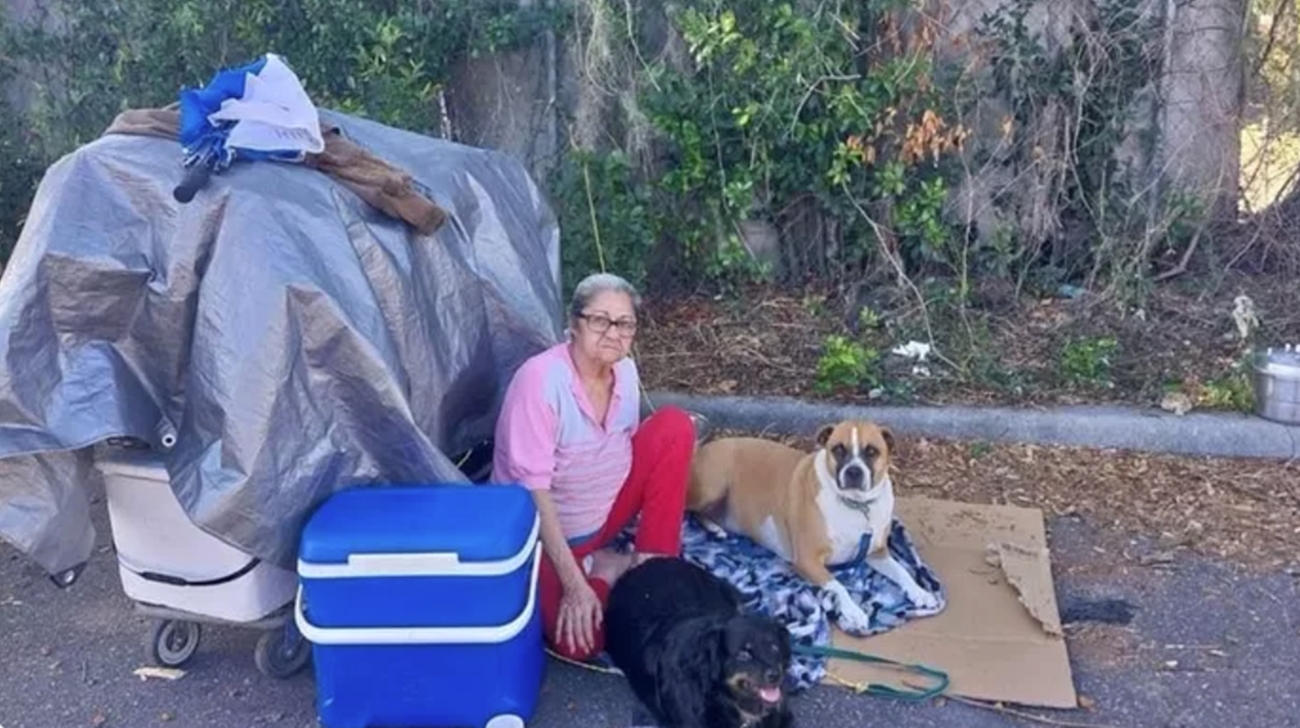 Piden ayuda para anciana cubana que vive en las calles de Tampa, en Florida