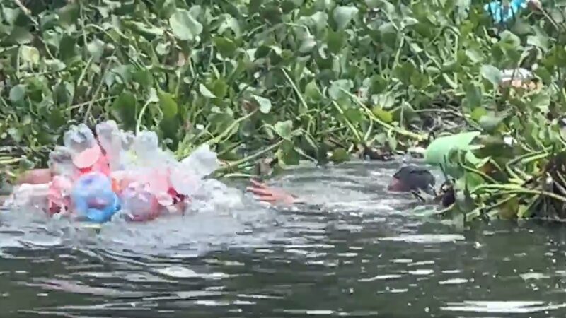 Sigue la caravana de migrantes por el río Bravo, uno casi se ahoga (video)