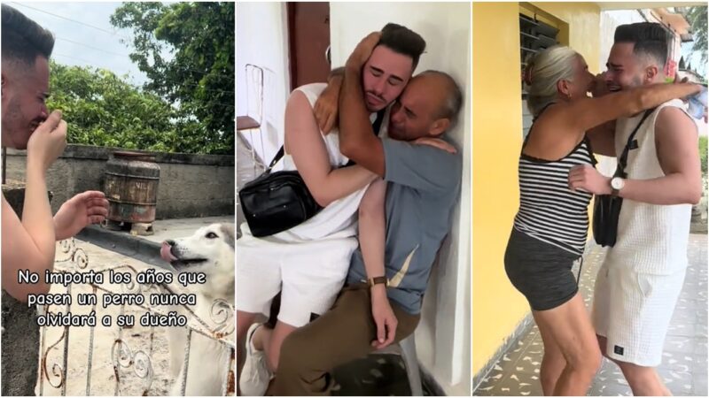 Emotivo reencuentro de joven cubano con sus padres y su perro después de 2 años en EEUU